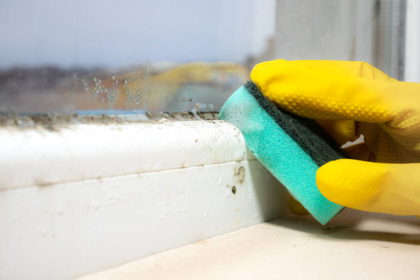 Best Residential Mold Inspection & Testing  in Greenville, MI